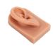 Flexible 3D Silicone Ear Model for Acupuncture Training | Reusable Soft Elastic Ear Piercing Model - International Shipping Available - Buy Online on GoSupps.com