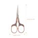 Beaupretty 2pcs Vintage Japanese Hair Cutting Scissors - Precision Thinning Shears & Fabric Cutter - Stainless Steel Salon Razor - Buy Online on GoSupps.com