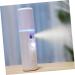 DRESSOOS Mist Sprayer 2pcs Spray Meter House Humidifier Small Humidifier Plant Diffusers Beauty Sprayer Mini Sprinkler - Buy Online on GoSupps.com