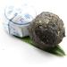 LWXLJMJZC-40pcs Cooked Stick Rice Puerh Tea - Ripe(Shu) Mini Tea Tuo Cha Yunnan Glutinous Rice Balls Pu erh Tea - Buy Online on GoSupps.com
