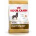 Royal Canin Dog Food Rottweiler 26 Dry Mix 12kg Poultry 12 kg (Pack of 1) - Buy Online on GoSupps.com