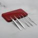 pistro 5PCS Blackhead Remover Extractor Tool Kit for Blemish Zit Comedone - Red - Buy Online on GoSupps.com
