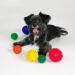 Theralino Hedgeball 5 Set - Pastel Massage Balls for Self-Massage of Feet Neck Back & Legs - International Shipping - Buy Online on GoSupps.com
