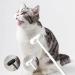 WondFans Long Handle Cat Massage Brush (GREEN) - Buy Online on GoSupps.com