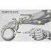 Parallel Halo Power Wrist Ball - Auto Start Gyroscope Ball for Wrist & Forearm Exercises | Arm Strengthener for Muscle & Bone Strength - Blue - Buy Online on GoSupps.com