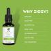 Ziggy Health Lung Relief - 1oz Liquid Tincture for Cough, Sore Throat & Respiratory Support - Buy Online on GoSupps.com
