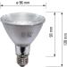 Buy SOLAR RAPTOR UV Halogen Spot 75W - Reptile Heat Lamp & Daylight Spectrum Terrarium Light - Buy Online on GoSupps.com