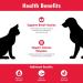 HealthyPets Renakitin Nutritional Supplement for Dogs & Cats - Kidney Support & Immune System Boost - 180g Red (RENAKIT0731) - Buy Online on GoSupps.com