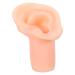 Ear Model Ear Mold