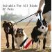 Jqiie Dog Whistle 2 Pcs Dog Training Whistle With Lanyard Dog Whistles for Recall Training - Buy Online on GoSupps.com