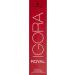 Schwarzkopf Igora Royal Premium Hair Color 7-00 Middle Blond Nature Extra - 60ml (1 Pack) | International Shipping Available - Buy Online on GoSupps.com