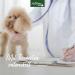 AniForte Stomach & Intestines Dog Tablets 90 Pieces for Acute Diarrhea & Gastrointestinal Health | Prebiotics for Intestinal Flora - Buy Online on GoSupps.com