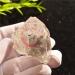 Rare! Natural Clear Quartz Movable Water Gall Stone Reiki Fengshui Crystal Stones Natural Stone and - Buy Online on GoSupps.com