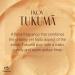 Natura Ekos Amazonian Bio-Beauty Tukum Gift Set - Eco-Friendly Skincare from the Amazon - Buy Online on GoSupps.com