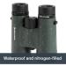 Celestron Nature DX 8x42 Binoculars - Top Pick for Outdoor and Birding - Buy Online on GoSupps.com