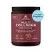 Ancient Nutrition Collagen Peptides Powder Multi Collagen Protein Women & Men Vitamin C Probiotics Hydrolyzed Collagen Supports Skin Joints Gut Health Unflavored 40 Servings Unflavored 40 Servings