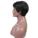 SHIYID Short Synthetic Hair Extension Wig for Women | High Temperature Fiber Fashion Wig - Buy Online on GoSupps.com