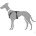 HUNTER Harness Maldon 53-71/M Black/Grey - Premium Adjustable Dog Harness for Comfortable International Shipping - Buy Online on GoSupps.com