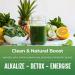Kavir Superfood Greens Mushrooms & Herbs Blend| 22 Daily Greens & Fruits 5 Mushrooms Probiotics & Enzymes | Rich in Vitamins Minerals Iron Fiber & antioxidants | 250 Grams - Buy Online on GoSupps.com