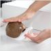 dijiusidy Soap Dispenser Household Small Size Leakproof Bathroom Animal Shaped Lotion Bottle Storage Container Dispensation Containers Black - Buy Online on GoSupps.com