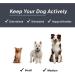 HugSmart Pet Spike Monster 2-in-1 Plush Squeaky Spike Ball - No Stuffing Interactive Fetch Toy for Dogs - 3 Pack for All Breeds - Buy Online on GoSupps.com