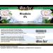Bianca Rosa Rhodiola 4% Cream (2 oz ZIN: 521293) - 2 Pack - Buy Online on GoSupps.com
