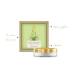Buy Forest Essentials Light Hydrating Hydra Eye Gel 15 GM | Best Hydration for Eyes | International Shipping Available - Buy Online on GoSupps.com