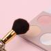 5-Part Classic Film Makeup Brush Set | Essential Brushes for Beginners & Artists | Perfect for Foundation Powder & Eyeshadow - Buy Online on GoSupps.com