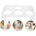 Hohopeti 3pcs Egg Storage Box Eggs Refrigerator Egg Storage Racks Plastic Egg Racks Egg Holder Tray Household - Buy Online on GoSupps.com
