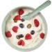 Vital Baby Nourish Silicone Suction Bowl Set - Mess-Free Weaning - BPA-Free - Easy to Clean - Crushed Mint - Buy Online on GoSupps.com