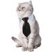 4 Pieces Pets Dog Cat Bowtie Pet Costume Adjustable Formal Necktie Collar for Cats Small Dogs Puppy Grooming Accessories (Black/red) - Buy Online on GoSupps.com