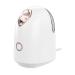 Appareil Vapeur pour le Visage - Humidificateur Visage Portable Vapeur Portable Visage Purifiant Pores Apaisant