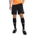 Puma TeamLIGA Referee Shorts Men black/white M Black / White