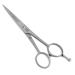 NTS-Solingen Silver Star Line 150 | Hairdressing Scissors | Matte | Satin | Made in Solingen | 5.5 Inches Approx. 14 cm | Professional Scissors for Hair Cutting