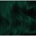 Lunar Tides Juniper Green Hair Dye - 4 fl oz (Pack of 1) | Semi-Permanent Color - Buy Online on GoSupps.com