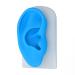 Silicone ear model with simulated and lively structure portable design for lessons seam practice acupuncture therapy listening amplifier tax