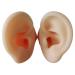 Hemoton 1 Pair Ear Picking Model Ear Model Ear Display Sample Scientific Ear Model Silicone Tunnels for Ears Simulation Ear Mold Simulation Ear Model Practice Ear Mold Props