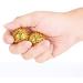 1 Pair Massage Handballs - Acupressure Massage Balls for Hand Pain Relief & Relaxation | International Shipping - Buy Online on GoSupps.com