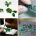 PHYHOO Green Carving Wax Tube for Ring Mold Jewelry Casting - Round Hole (C8) - Buy Online on GoSupps.com
