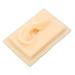 Buy Earl Model Silicone Acupuncture Ear - Natural Size Soft & Shiny - Perfect for Teaching (Left) - Buy Online on GoSupps.com