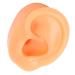 Human Ear Model Reusable Authentic Ear Made of Soft Silicone for Earring Display (Left)