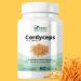 Cordyceps Mushroom Capsules QCE 2000mg 60 day supply Mushroom Supplement for health vitality and longevity Made in Canada - Orgen Nutraceuticals Cordyceps Mushroom Capsules 90 count (Pack of 1) - Buy Online on GoSupps.com