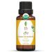 SVA ORGANICS Roman Chamomile Oil (1/3 Oz) 10 ml Organic USDA Certified 100% Pure Natural Therapeutic Grade Oil For Skin Care  Hair Care  Diffuser  Massage & Aromatherapy 0.34 Fl Oz (Pack of 1)
