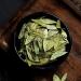 Senna Leaf Tea Tablets - Natural Laxative for Intestinal Health and Regular Bowel Movements - Buy Online on GoSupps.com