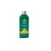 Buy ORGANIC INDIA Hair Vitality Oil 120 ml - Nourish & Strengthen Hair Naturally | Free Worldwide Shipping - Buy Online on GoSupps.com