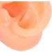 Buy Silicone Ear Model - Soft Simulation Hearing Tool for Display | Fleshcolor with Black Stand (Right Ear) - International Shipping Available - Buy Online on GoSupps.com