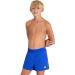 ARENA Boys Bywayx Youth R Swim Trunks 152 - Neon Blue & Soft Green | Best Swimwear for Kids - Buy Online on GoSupps.com