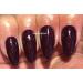 Bluesky GEL NAIL POLISH Black Cherry Dark Burgundy Red with Fine Multi Glitter UV LED Soak Off 10ml (Requires Drying Under UV LED Lamp) Christmas Color - Buy Online on GoSupps.com