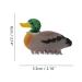 Duck Claw Clips - Large Cellulose Acetate Hair Clips for Women - Buy Online on GoSupps.com