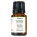 PurePlant Essentials 100% Pure Michael Angel Therapy Perfume Oil Organic and Wild Crafted Essential Oils Blend Diluted in Light Coconut Oil - 7.5 ml (1/4 Ounce) - Buy Online on GoSupps.com